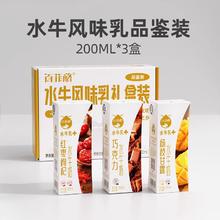 BONUS 百菲酪 风味水牛奶3口味品鉴装200ml*3盒调制乳巧克力