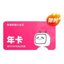 哔哩哔哩大会员 年卡