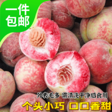 京鲜生 胭脂红血桃 净重4.5斤 单果100g以上 新鲜水果 源头直发 包邮