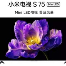 Xiaomi 小米 S75 75MA-SPL  Mini LED L高阶分区平板电视75寸