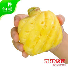QUXIANYU 趣鲜语 海南手撕凤梨菠萝小果 2-3个装 净重3-3.5斤 凤梨水果源头直发