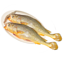 再降价、京东百亿补贴、PLUS会员：黄小渔 三去黄花鱼1.75kg/5条