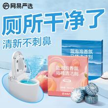 百亿补贴：YANXUAN 网易严选 洁厕马桶清洁剂 2盒装