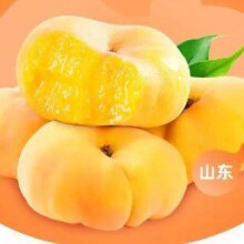 晟容果蔬 山东蒙阴黄金蟠桃毛蟠桃  净重4.6斤
