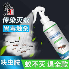 修正 灭强效蚂蚁药 1瓶