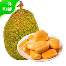 冠町 海南红肉菠萝蜜一整个8-10斤 新鲜水果生鲜当季特产 源头直发