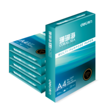 得力（deli）珊瑚海A4打印纸 80g500张*5包一箱 双面使用 加厚复印纸 整箱2500张 7378【销冠系列】