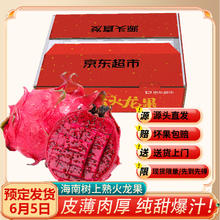6日0点：Mr.Seafood 京鲜生 海南树上熟红心火龙果 6粒 单果200g起