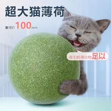 疯狂的主人 猫玩具猫薄荷球超大自嗨解闷神器猫咪用品大全逗猫棒宠物磨牙
