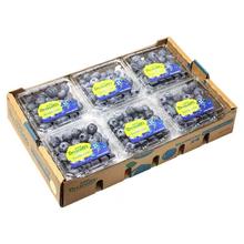 朵界 蓝莓 特大果 125g*6盒 单果15-18mm