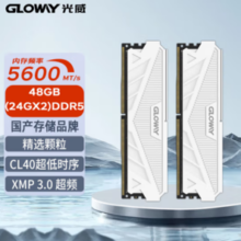 GLOWAY 光威 48GB套装 DDR5 5600 台式机内存条 天策系列 助力AI
