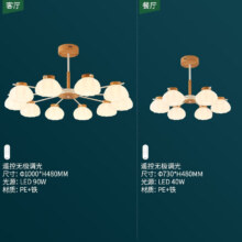 15日20点：NVC Lighting 雷士照明 EDNS8173 10头+6头吊灯套餐 一室一厅