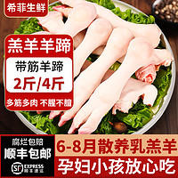 希菲 正宗白羊蹄 2斤