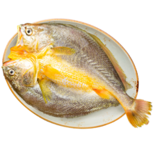再降价、京东百亿补贴：黄小渔 醇香黄鱼鲞 250g*6条（净重1.5kg）