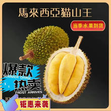 马来猫山王榴莲 4斤装保5房