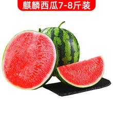 静益乐源 新鲜8424麒麟西瓜 1个装7-8斤