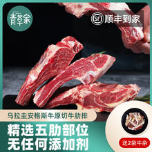 青草家 原切牛肋排骨带骨牛肉 五肋牛排 5斤