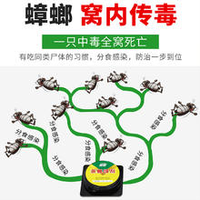 88VIP会员：郁康 蟑螂药家用一窝专用饭店非无毒全窝餐厅端灭除杀蟑胶饵剂