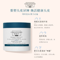 Christophe Robin 海盐火山泥净化护理发膜 250ml