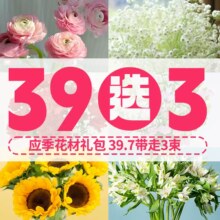 任选3件，花点时间 绣球/玫瑰花/向日葵/康乃馨/风铃花