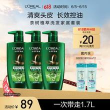 L'OREAL PARIS 茶树植萃洗发水 500ml*3（赠100ml*2）
