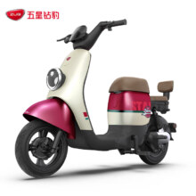 京东百亿补贴，ZUB 五星钻豹 BX 新国标电动自行车 TDT32Z