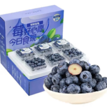 共雅 特大果 蓝莓 125g*6盒 单果15-18mm
