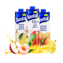 PLUS：圣涛（SANTAL）意大利100%苹果汁梨汁桃汁1L*3瓶组合 纯果汁饮料