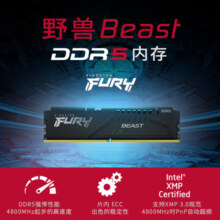 金士顿（Kingston） DDR5台式机内存条 第五代内存 FURY Beast野兽系列 骇客神条 台式D5 5200频32G 野兽 电竞马甲条