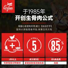 Orijen 渴望 鸡肉猫粮成幼猫进口全价无谷猫粮5.4kg