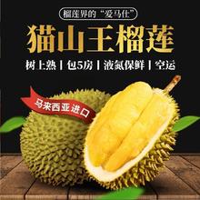 马来猫山王榴莲 4.5斤装/保5房