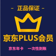 京东 PLUS会员年卡 12个月  (人工接码充值)