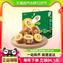 Zespri 佳沛 金奇异果黄心猕猴桃12个礼盒 大果单果124-145g