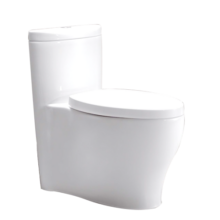 科勒（KOHLER） 马桶连体坐便器缓降抽水马桶水漾K-3869T/4165T五级旋风座便器 K-3869T-305坑距