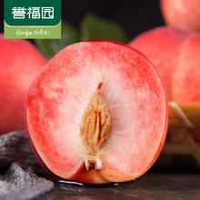 誉福园 现摘当季新鲜水果水蜜桃5斤