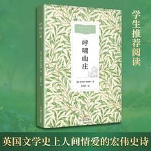 百亿补贴：《呼啸山庄》