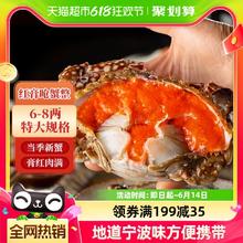 遇上鲜 舟山红膏呛蟹整只生腌螃蟹4只（3-4两）另有好菜选择