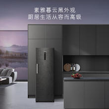 Casarte 卡萨帝 原石系列285升风冷无霜冷柜立式冰柜家商两用保鲜囤货柜