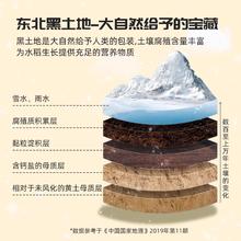 GUMIJI 谷米集 鸭稻东北大米黑龙江大米香米圆粒米2023年新大米东北当季米