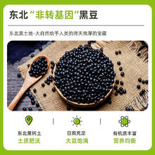 jesitte 捷氏 豆浆粉9.9尝鲜捷氏黑豆纯豆浆粉高植物蛋白无添加营养早餐孕妇