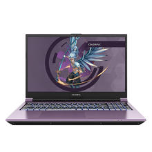 百亿补贴：COLORFUL 七彩虹 将星X15 15.6英寸游戏本（i7-13650HX、16GB、512GB、RTX4050）