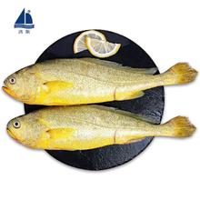 鸿顺 宁德三去大黄鱼700g/2条 去鳞去腮去内脏 黄花鱼 生鲜 鱼类 海鲜