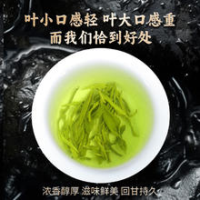 徽小生 绿茶2024新茶特级浓香型高山云雾茶叶日照充足炒青春茶自己喝散装