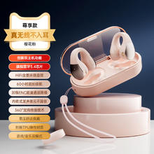 SANSUI 山水 TW90 蓝牙耳机