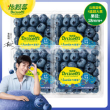 6日0点、plus会员：怡颗莓 Driscoll’s Jumbo超大果云南蓝莓4盒约125g/盒