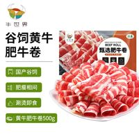 牛世界 黄牛肥牛卷500g/袋