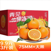 Plus会员：鲜菓篮 四川青见果冻橙新鲜当季柑橘水果手剥橙子现摘 带箱3斤75-80MM精选装净2.5+ 新鲜水果