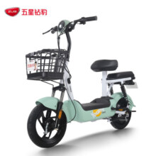 五星钻豹电动车 新国标电瓶车48V12AH男女小型代步车两轮电动自行车 L3 L3/植物绿