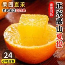 誉福园 峡江夏橙 净重5斤