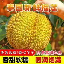 慕容三少 泰国金枕榴莲 a级果 净重4-5斤装/保4房